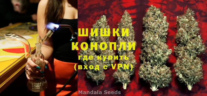 Канабис SATIVA & INDICA  как найти закладки  Пушкино 